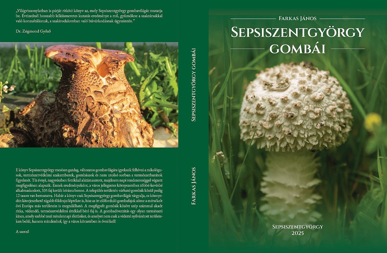borito%20teljesFaJaSsztgygombai
